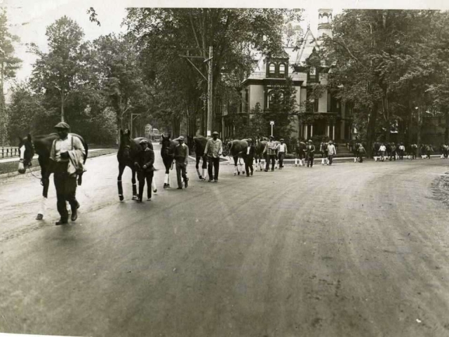 Circular-street-horses